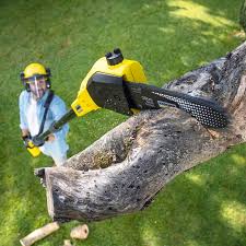 Best Residential Tree Removal  in USA